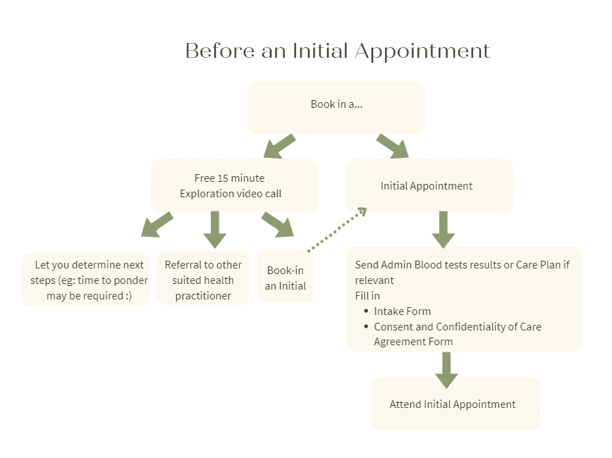 Before initial session Appointment flow chart that graphically depicts the paragraph above regarding the process before an initial 